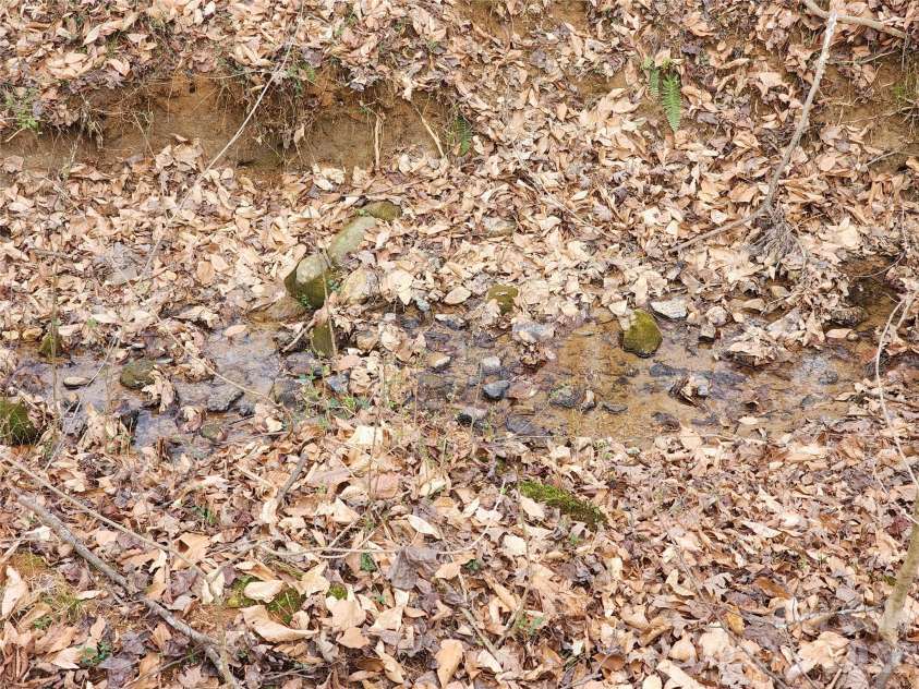 865 Armory Road, North Wilkesboro, NC 28659.  MLS# CAR4336066, YatesRealty ID 4911. 