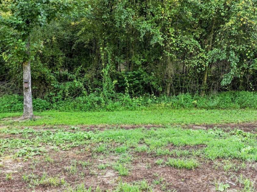4782 29th Street Drive, Hickory, NC 28601.  MLS# CAR4415429, YatesRealty ID 49304. Garden area