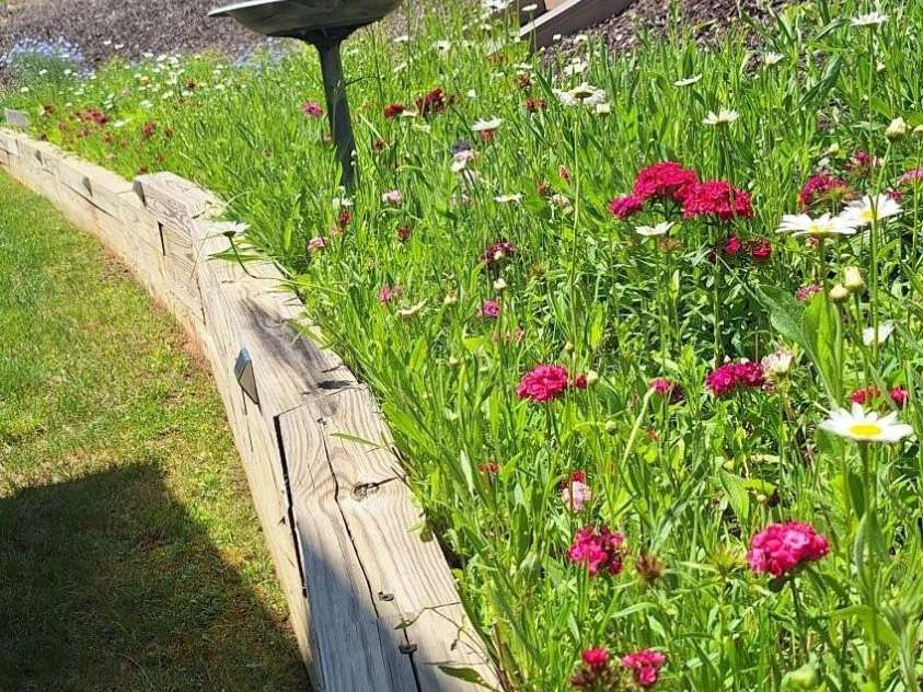 52 Stone Ridge Trail, Mills River, NC 28759.  MLS# CAR4239861, YatesRealty ID 4935. Beautiful flowers in summertime