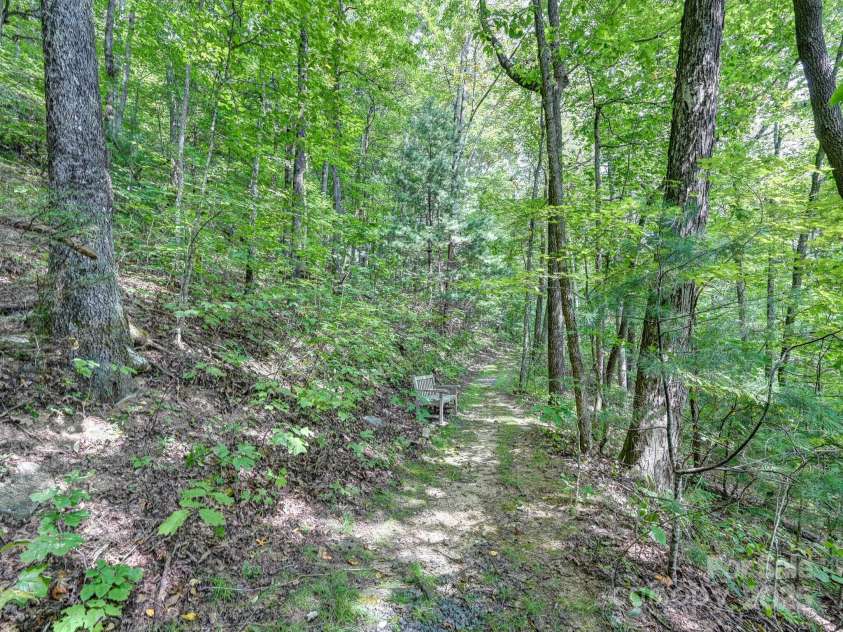 88 Chestnut Forest Road, Fairview, NC 28730.  MLS# CAR4171561, YatesRealty ID 494. The paths wind through the original lots around the property, offering several spots to pause and take respite