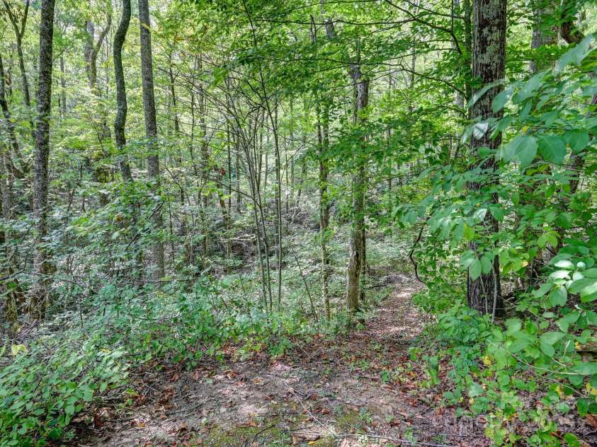88 Chestnut Forest Road, Fairview, NC 28730.  MLS# CAR4171561, YatesRealty ID 494. Time to explore your own piece of paradise...trails have been created and lovingly maintained by the sellers