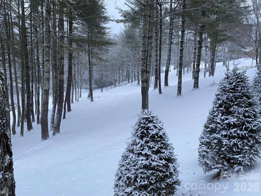 198 Little Harbour None, Vilas, NC 28692.  MLS# CAR4304013, YatesRealty ID 4942. Beautiful winterscapes