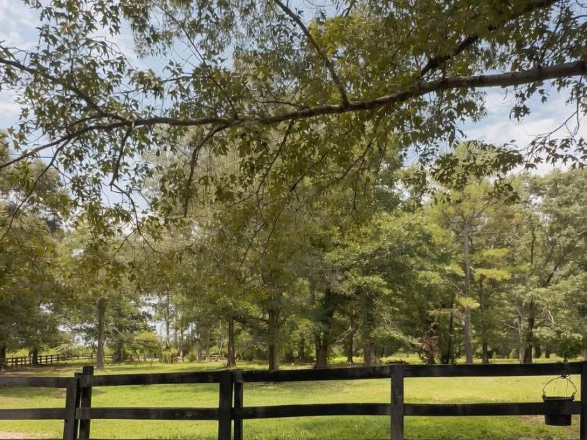 350 Vick Russell Lane, Columbus, NC 28722.  MLS# CAR4409323, YatesRealty ID 49422. 