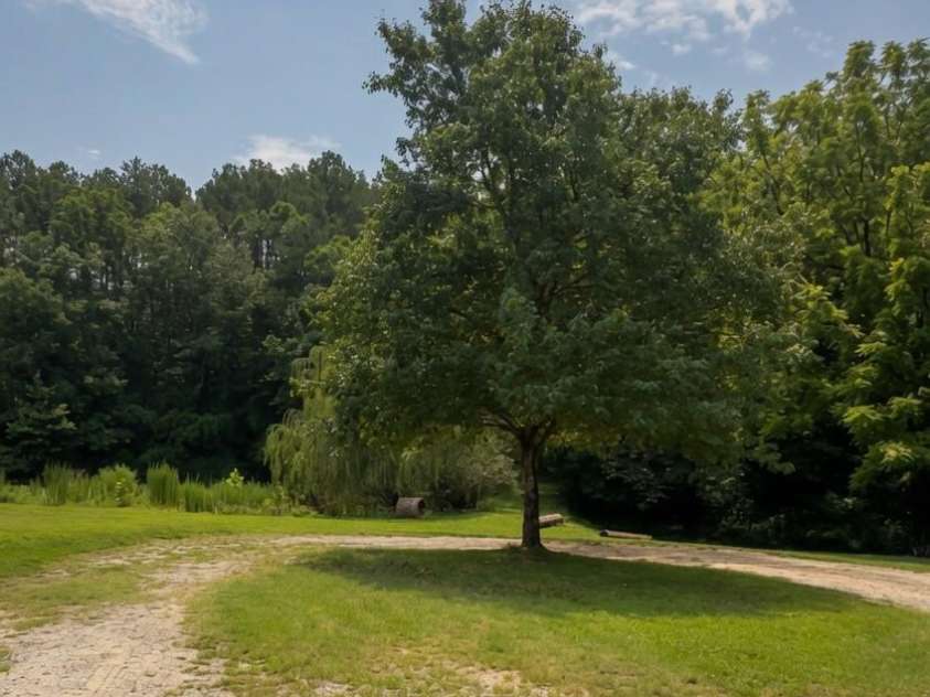 350 Vick Russell Lane, Columbus, NC 28722.  MLS# CAR4409323, YatesRealty ID 49422. 