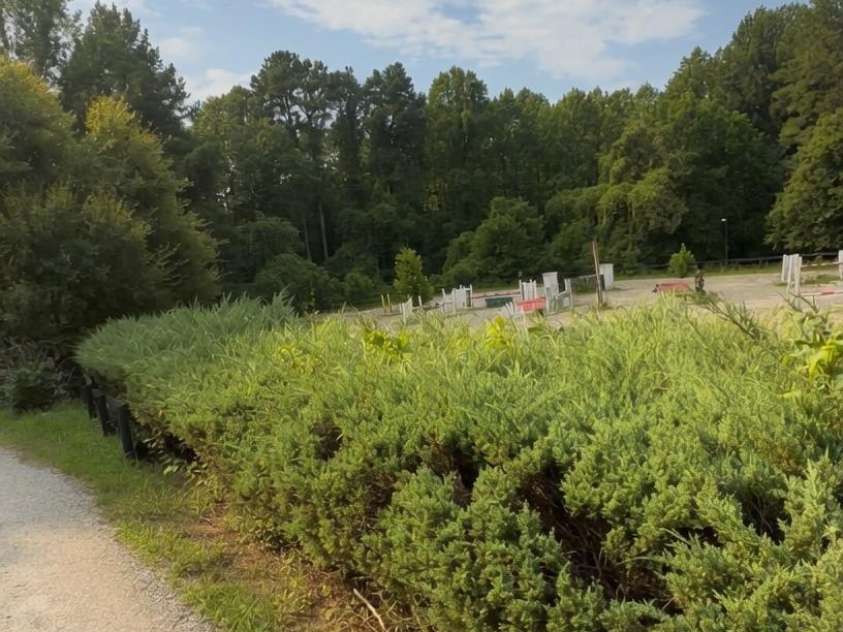 350 Vick Russell Lane, Columbus, NC 28722.  MLS# CAR4409323, YatesRealty ID 49422. 