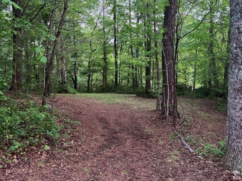 6 Green Knoll Drive, Candler, NC 28715.  MLS# CAR4419811, YatesRealty ID 49603. 