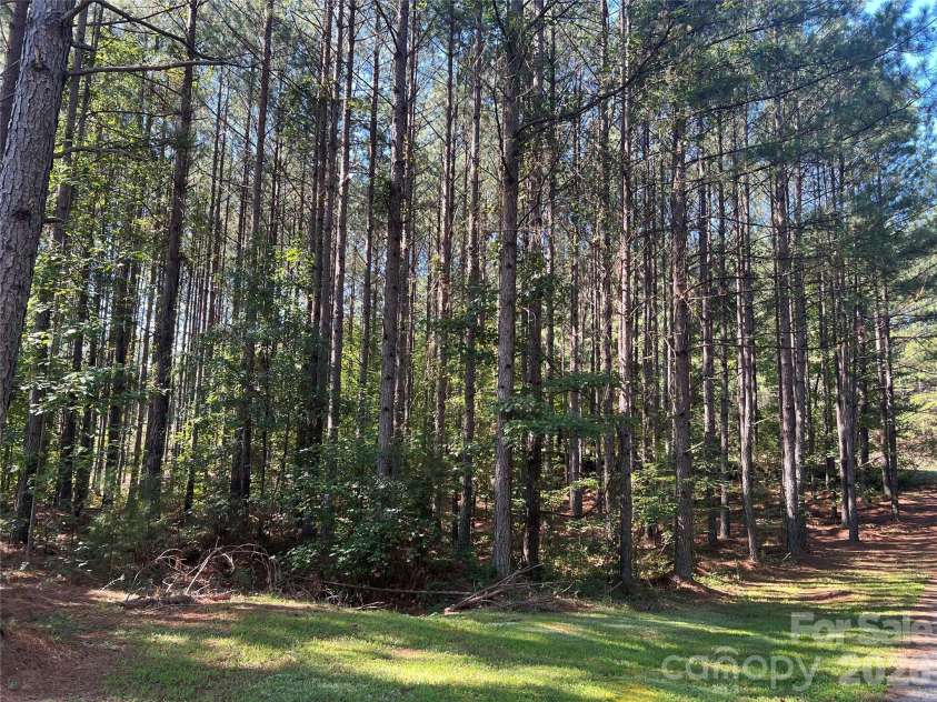 651 Dills Road, Rutherfordton, NC 28139.  MLS# CAR4397344, YatesRealty ID 49689. 