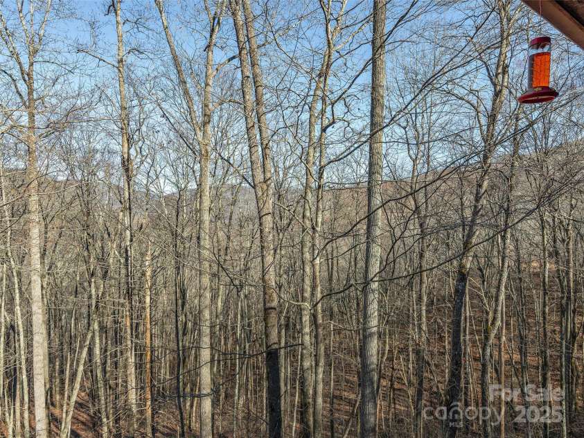 396 Sharons Bluff, Franklin, NC 28734.  MLS# CAR4201709, YatesRealty ID 4985. 