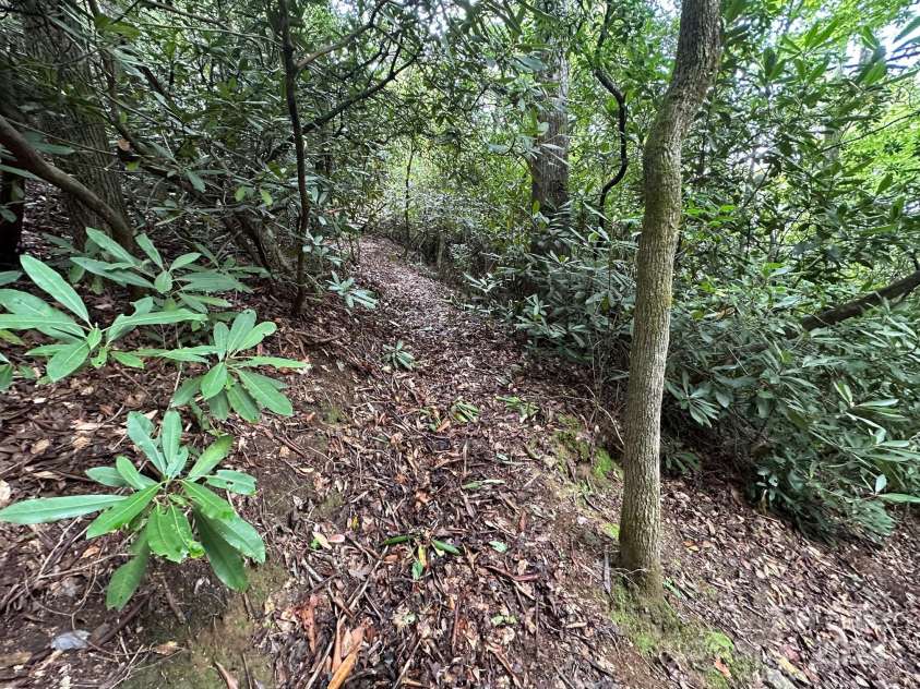1244 Windover Drive, Brevard, NC 28712.  MLS# CAR4169991, YatesRealty ID 4987. Trail to river access on property