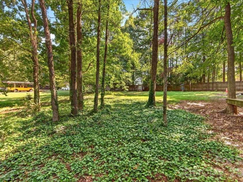 1442 Plumcrest Drive, Charlotte, NC 28216.  MLS# CAR4422358, YatesRealty ID 49987. Backyard