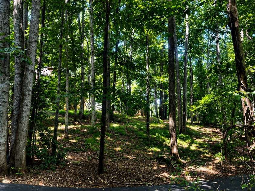 51 Sleepy Forest Drive, Leicester, NC 28748.  MLS# CAR4412266, YatesRealty ID 50110. 
