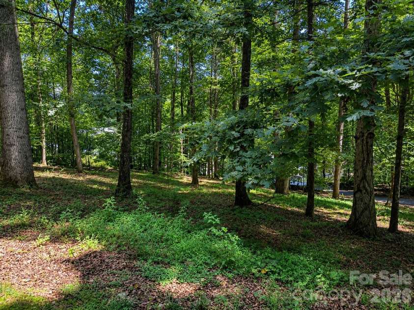 51 Sleepy Forest Drive, Leicester, NC 28748.  MLS# CAR4412266, YatesRealty ID 50110. 