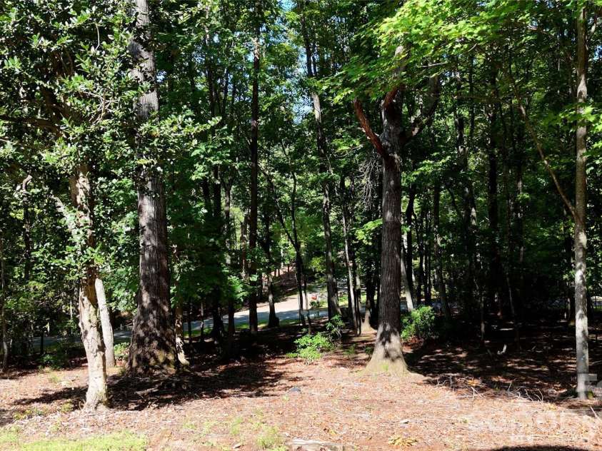1137 Mountain Laurel Drive, Columbus, NC 28722.  MLS# CAR4423515, YatesRealty ID 50115. 