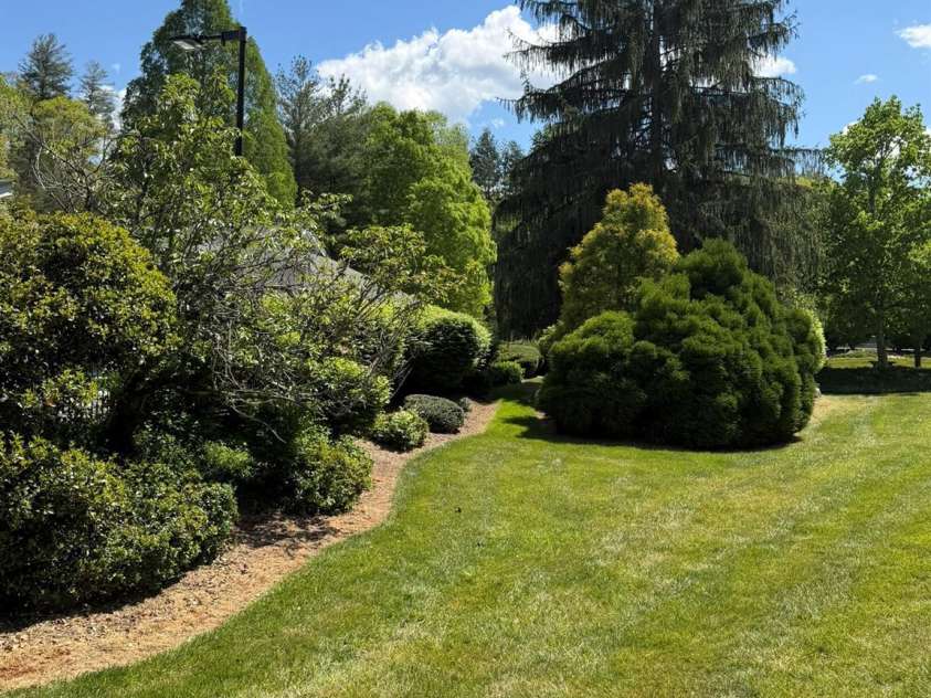 22 Willow Tree Run, Asheville, NC 28803.  MLS# CAR4423602, YatesRealty ID 50138. 