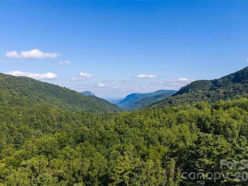 95 Chestnut Hill Loop Road, Gerton, NC 28735.  MLS# CAR4420243, YatesRealty ID 50183. 