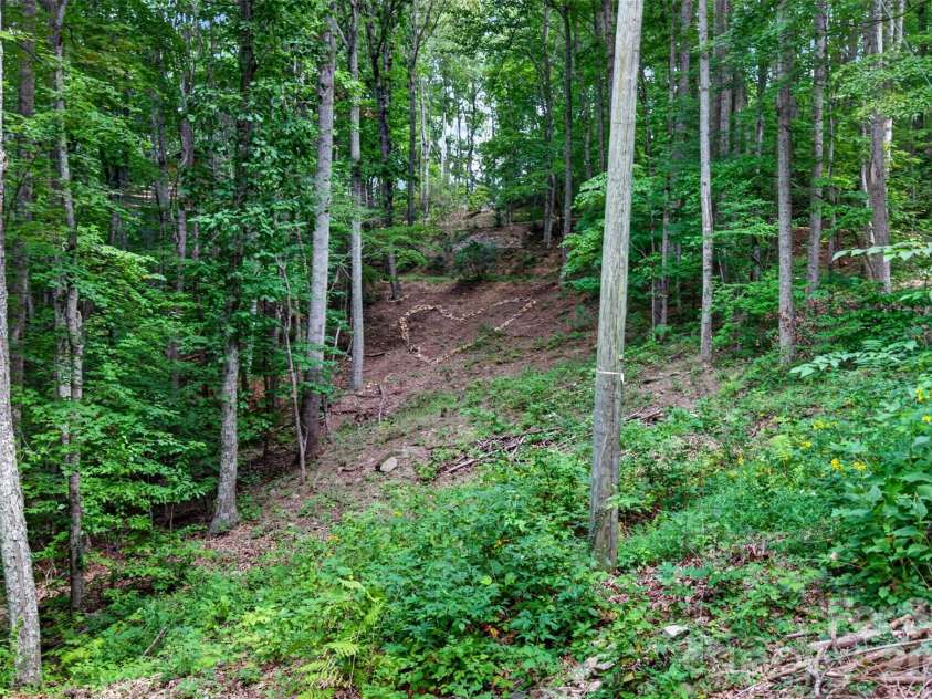 50 Cherokee Lane, Swannanoa, NC 28778.  MLS# CAR4418534, YatesRealty ID 50202. 