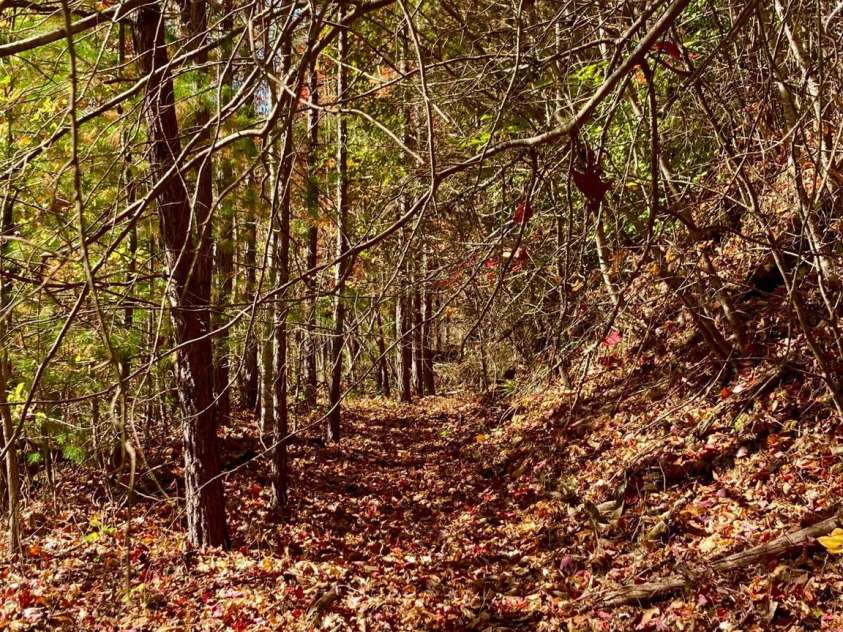 17 Moonlight Trail, Bryson City, NC 28713.  MLS# CAR4160410, YatesRealty ID 5028. 