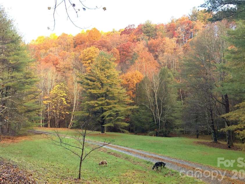 982 Jakes Mountain Road, Deep Gap, NC 28618.  MLS# CAR4423601, YatesRealty ID 50361. 