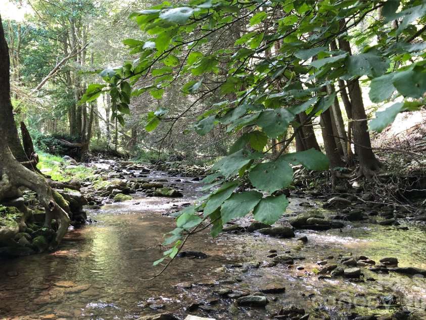 982 Jakes Mountain Road, Deep Gap, NC 28618.  MLS# CAR4423601, YatesRealty ID 50361. 