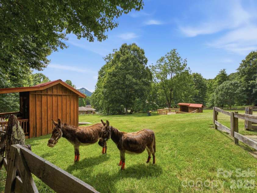 65 Airish Lane, Waynesville, NC 28785.  MLS# CAR4422647, YatesRealty ID 50471. 