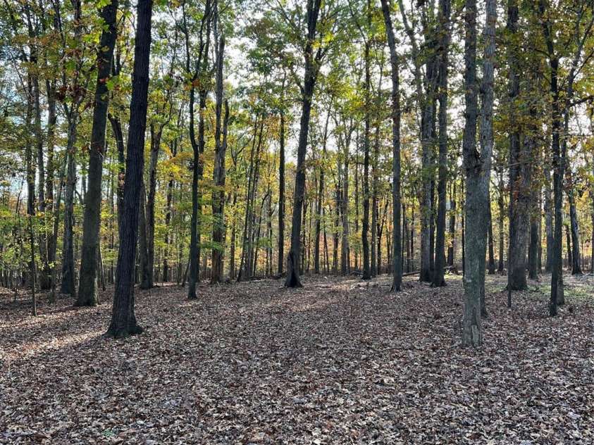 3a Oak Drive, Monroe, NC 28112.  MLS# CAR4216751, YatesRealty ID 505. 
