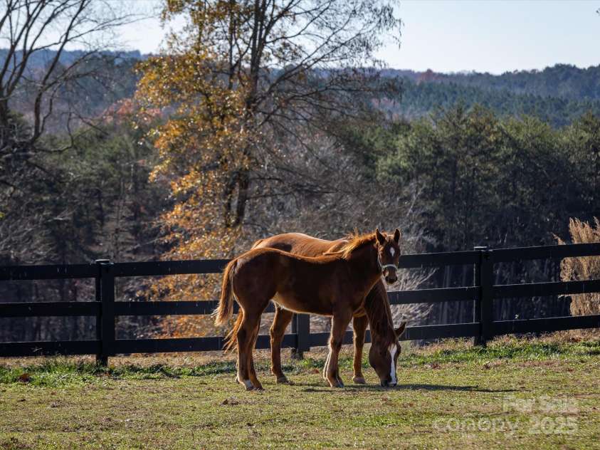 172 Tuckertown Road, New London, NC 28127.  MLS# CAR4215273, YatesRealty ID 5053. 