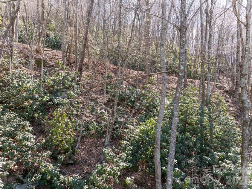 99999 Laurel Drive, Mills River, NC 28759.  MLS# CAR4423476, YatesRealty ID 50560. 