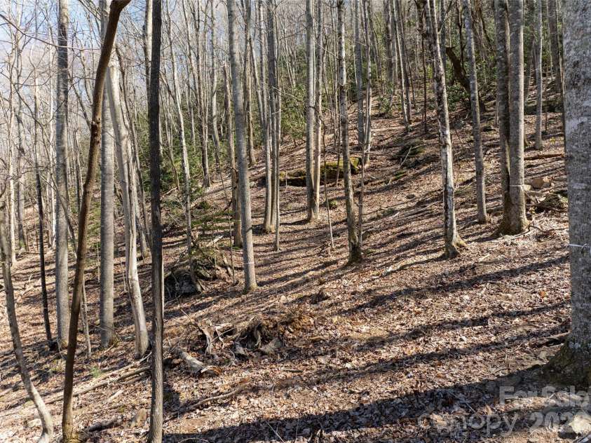 99999 Laurel Drive, Mills River, NC 28759.  MLS# CAR4423476, YatesRealty ID 50560. 