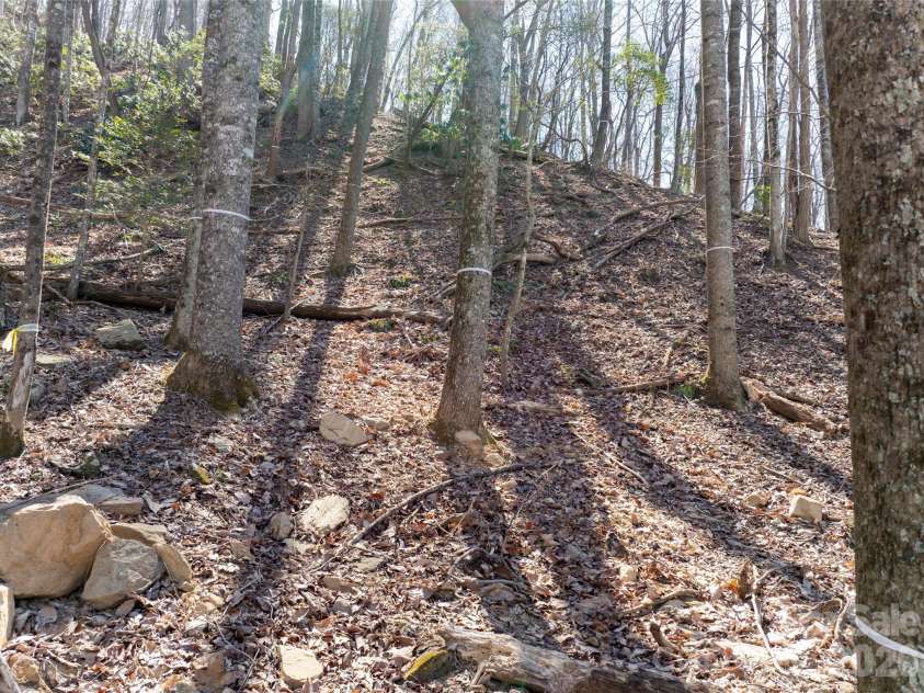 99999 Laurel Drive, Mills River, NC 28759.  MLS# CAR4423476, YatesRealty ID 50560. 
