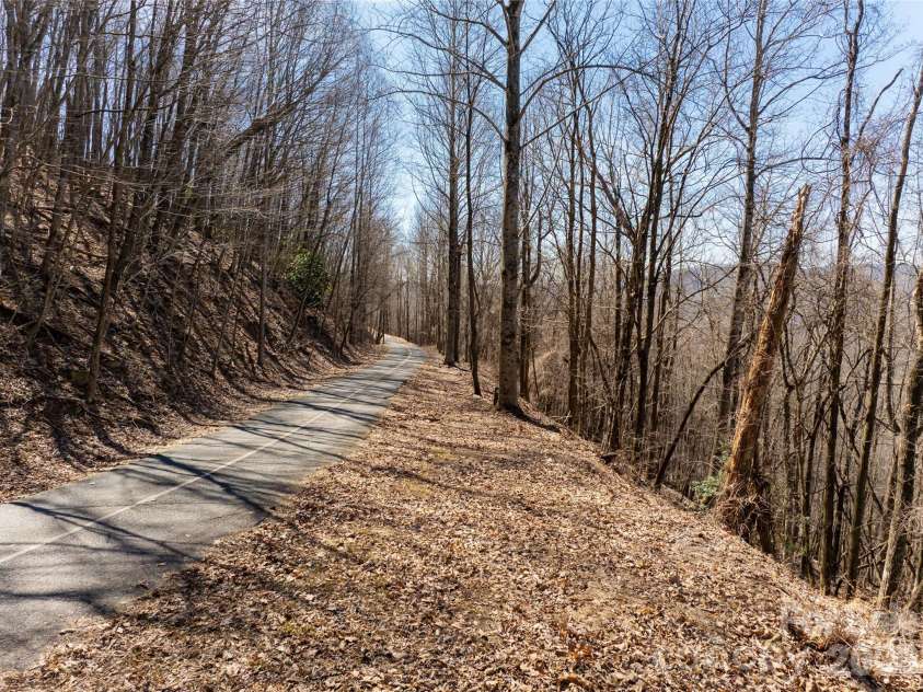 99999 Laurel Drive, Mills River, NC 28759.  MLS# CAR4423476, YatesRealty ID 50560. 