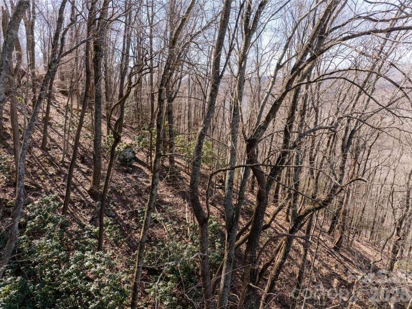 99999 Laurel Drive, Mills River, NC 28759.  MLS# CAR4423476, YatesRealty ID 50560. 