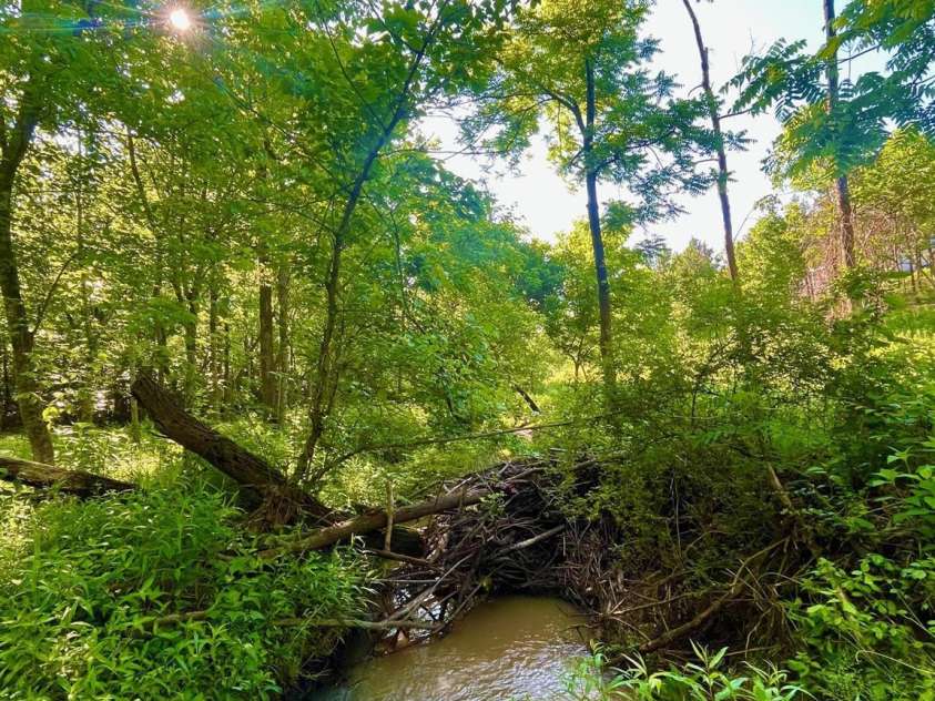 151 Ryleigh Dan Place, Mooresville, NC 28115.  MLS# CAR4150378, YatesRealty ID 506. Lot