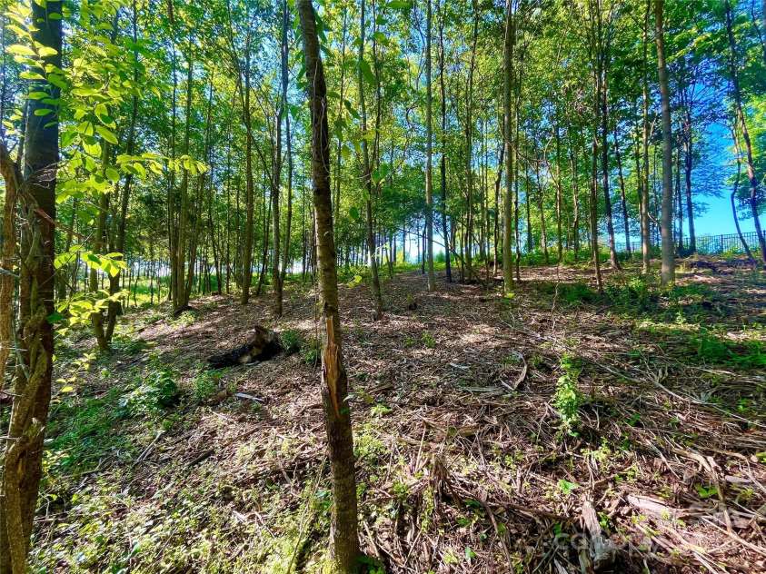 151 Ryleigh Dan Place, Mooresville, NC 28115.  MLS# CAR4150378, YatesRealty ID 506. Lot