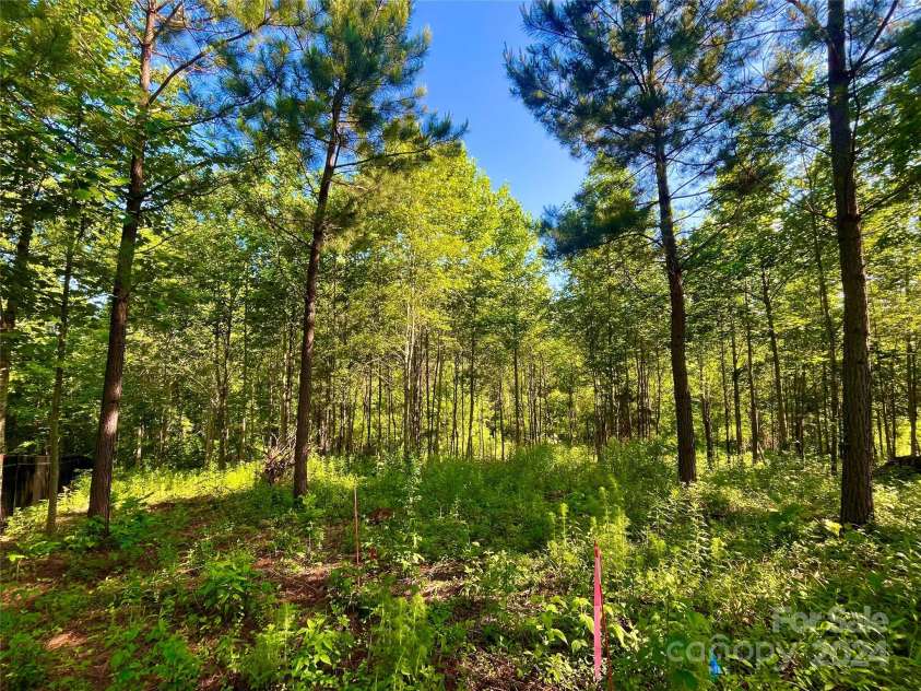 151 Ryleigh Dan Place, Mooresville, NC 28115.  MLS# CAR4150378, YatesRealty ID 506. Lot