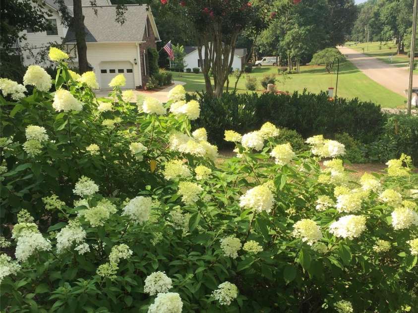 1075 Glenfield Drive, Salisbury, NC 28147.  MLS# CAR4422693, YatesRealty ID 50642. 