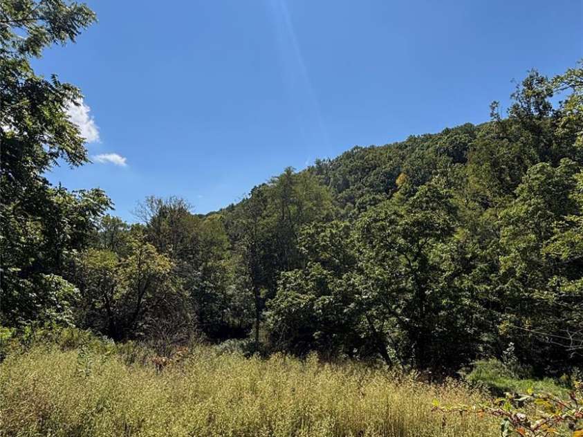 188 Velvis Hollifield Road, Spruce Pine, NC 28777.  MLS# CAR4423073, YatesRealty ID 50787. 