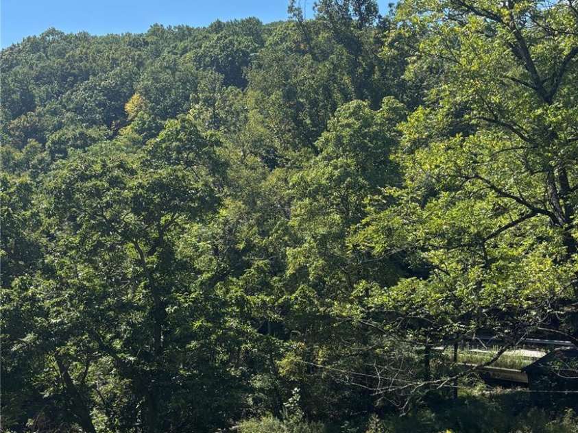 188 Velvis Hollifield Road, Spruce Pine, NC 28777.  MLS# CAR4423073, YatesRealty ID 50787. 