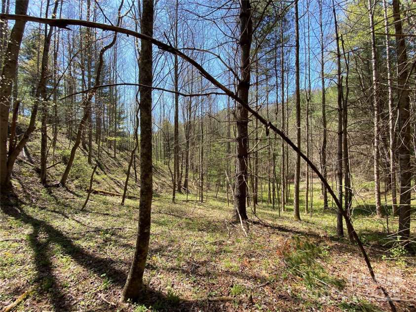 292 Crow Lane, Burnsville, NC 28714.  MLS# CAR4282294, YatesRealty ID 508. 