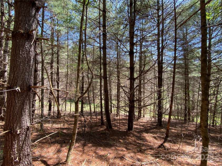 292 Crow Lane, Burnsville, NC 28714.  MLS# CAR4282294, YatesRealty ID 508. 