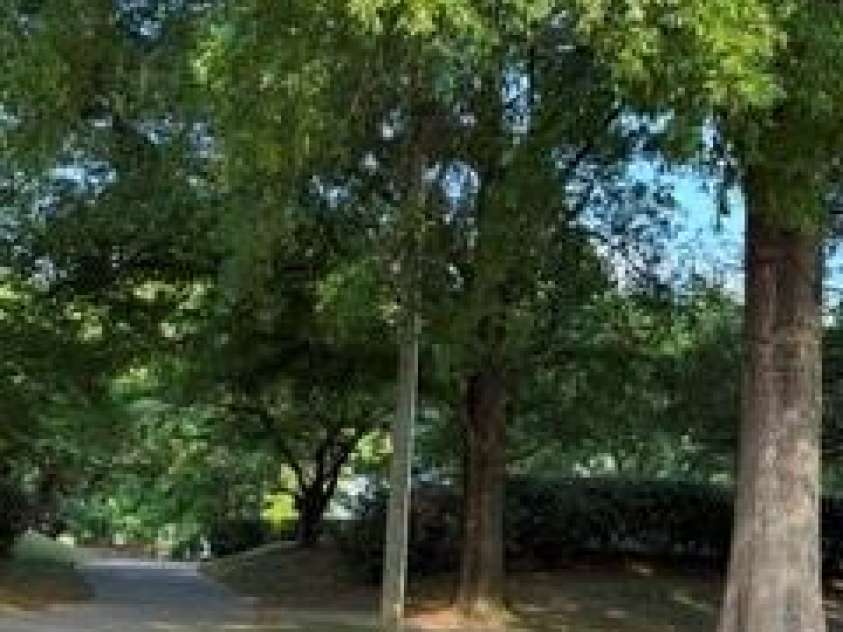 9547 University Terrace Drive, Charlotte, NC 28262.  MLS# CAR4424671, YatesRealty ID 50889. 