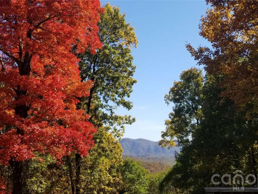 2705 Sand Branch Road, Black Mountain, NC 28711.  MLS# CAR4423859, YatesRealty ID 50995. 