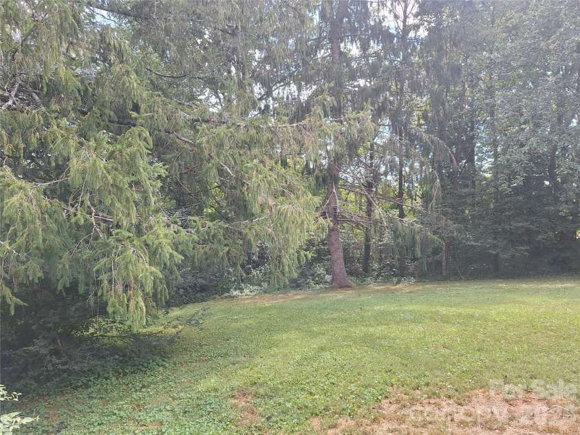 16 Shannon Drive, Asheville, NC 28803.  MLS# CAR4424244, YatesRealty ID 51015. Backyard
