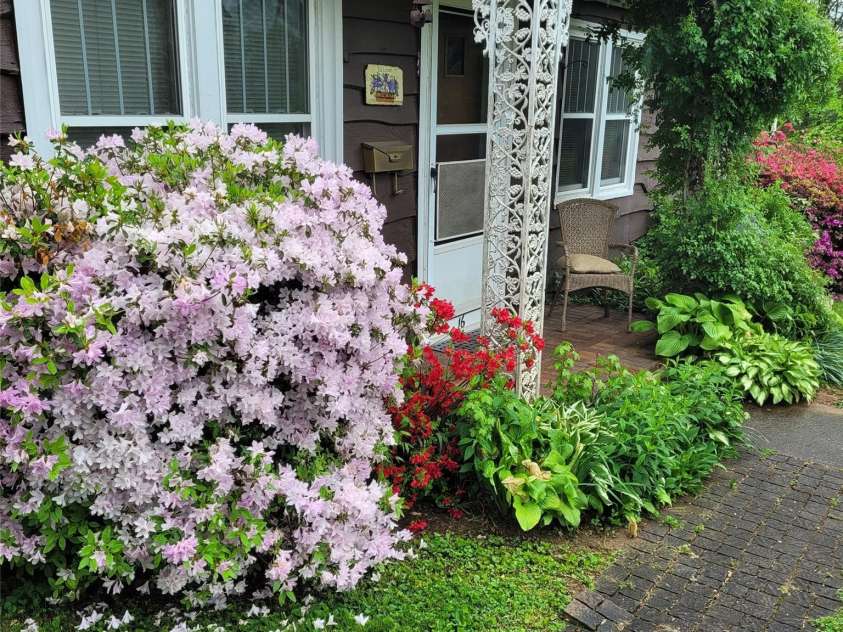 16 Shannon Drive, Asheville, NC 28803.  MLS# CAR4424244, YatesRealty ID 51015. Front