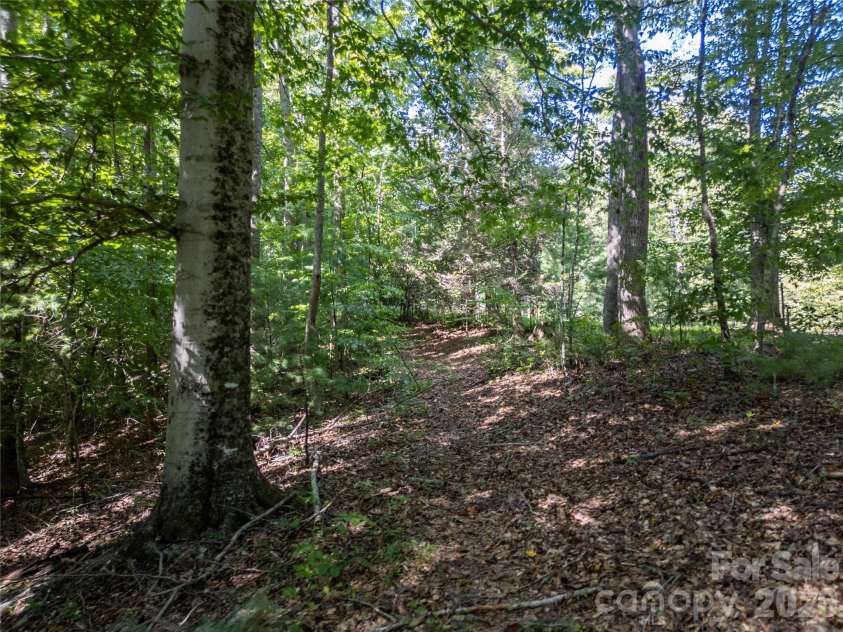 267 Morning Glory Lane, Marshall, NC 28753.  MLS# CAR4424743, YatesRealty ID 51179. 