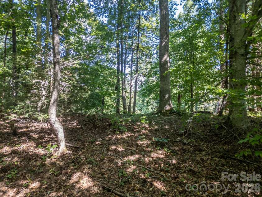 267 Morning Glory Lane, Marshall, NC 28753.  MLS# CAR4424743, YatesRealty ID 51179. 