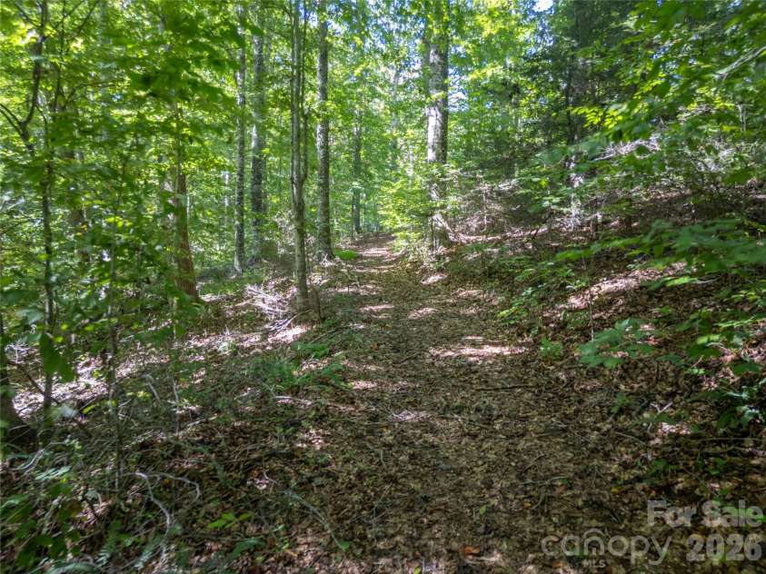 267 Morning Glory Lane, Marshall, NC 28753.  MLS# CAR4424743, YatesRealty ID 51179. 