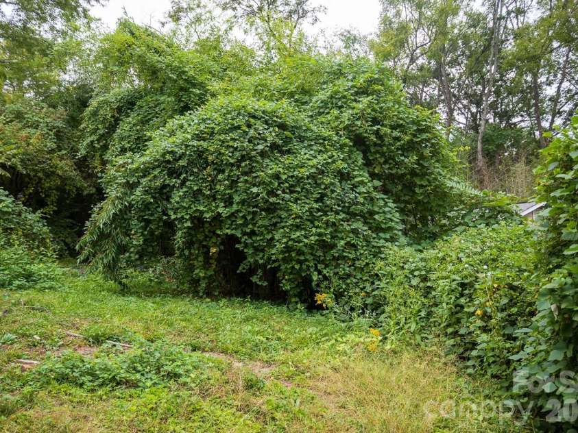 55 Blalock Avenue, Asheville, NC 28803.  MLS# CAR4424998, YatesRealty ID 51183. 