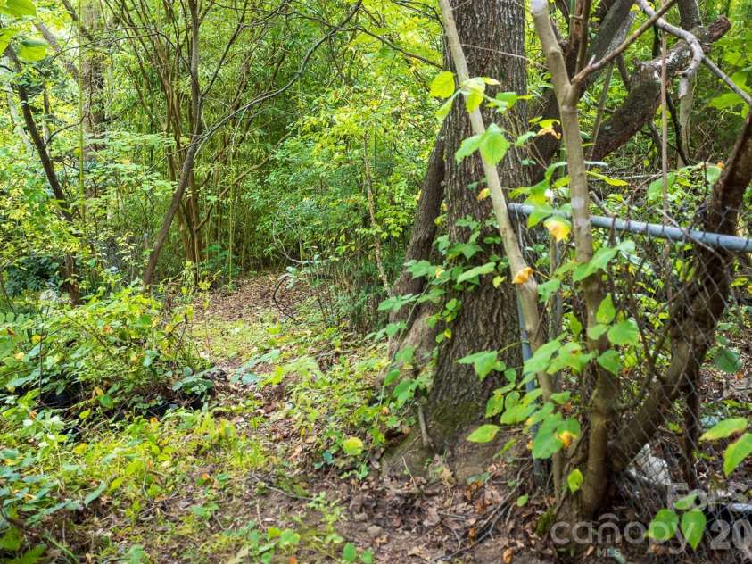 55 Blalock Avenue, Asheville, NC 28803.  MLS# CAR4424998, YatesRealty ID 51183. 