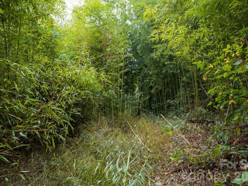 55 Blalock Avenue, Asheville, NC 28803.  MLS# CAR4424998, YatesRealty ID 51183. 