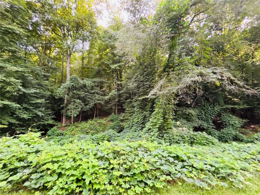7865 Long Bay Parkway, Catawba, NC 28609.  MLS# CAR4424490, YatesRealty ID 51224. 